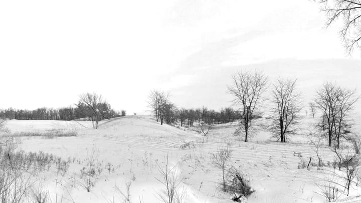 Scene