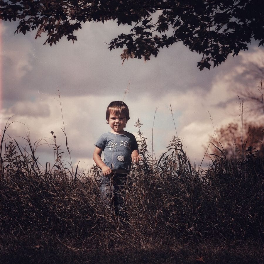 Boy standing in a field under a tree branch at dusk